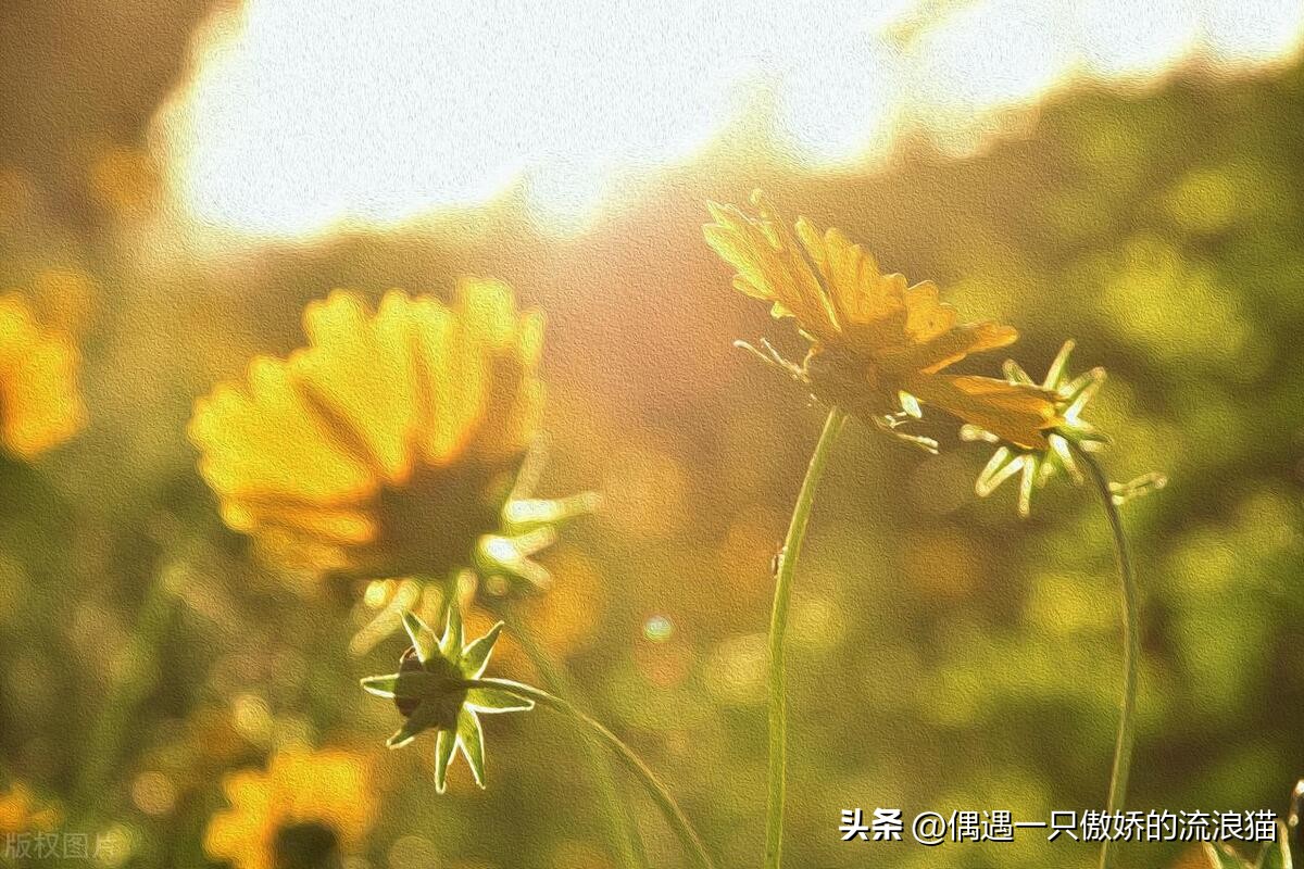 缓解痛苦让人快乐的方法,彻底摆脱痛苦与烦恼的方法