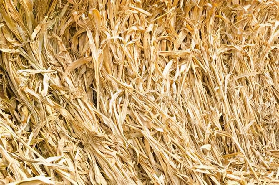 中国为什么可以烧柴,中国为什么不能烧秸秆