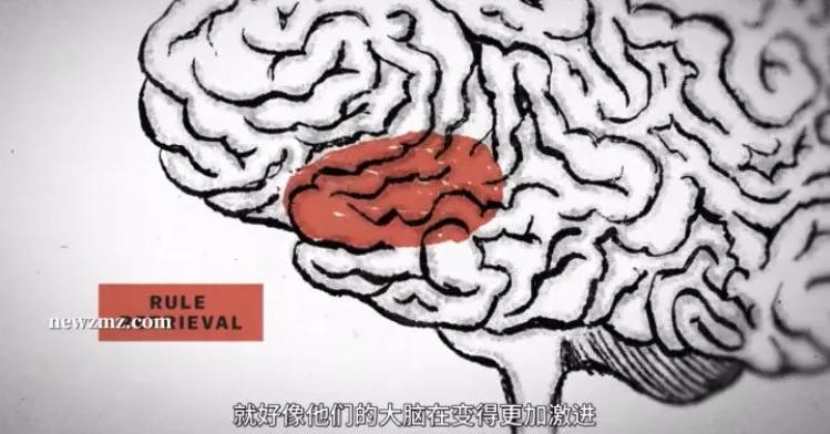 这压轴大瓜，越扒越恶心