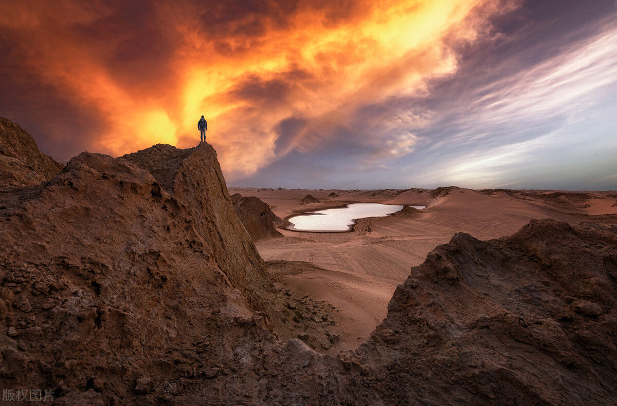 奶茶店老板,奶茶店老板娘蔡倩直播视频