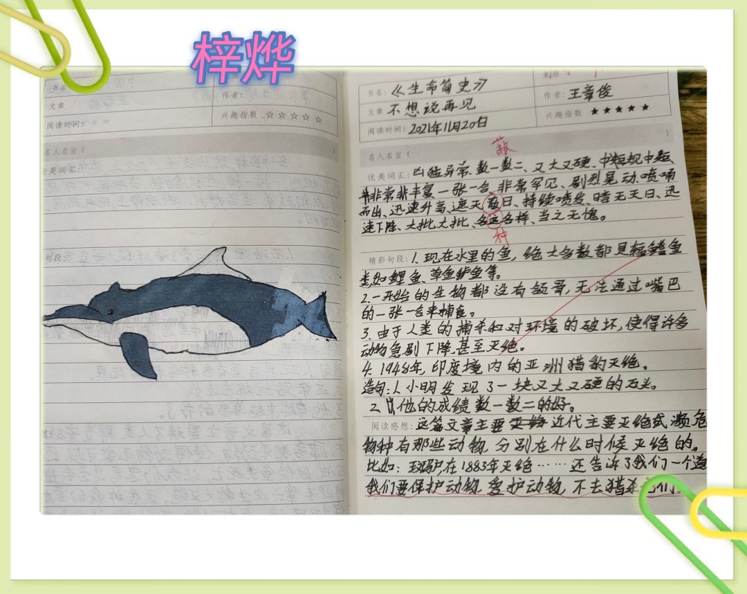 爸爸我想对您说优秀作文,小学作文优秀爸爸