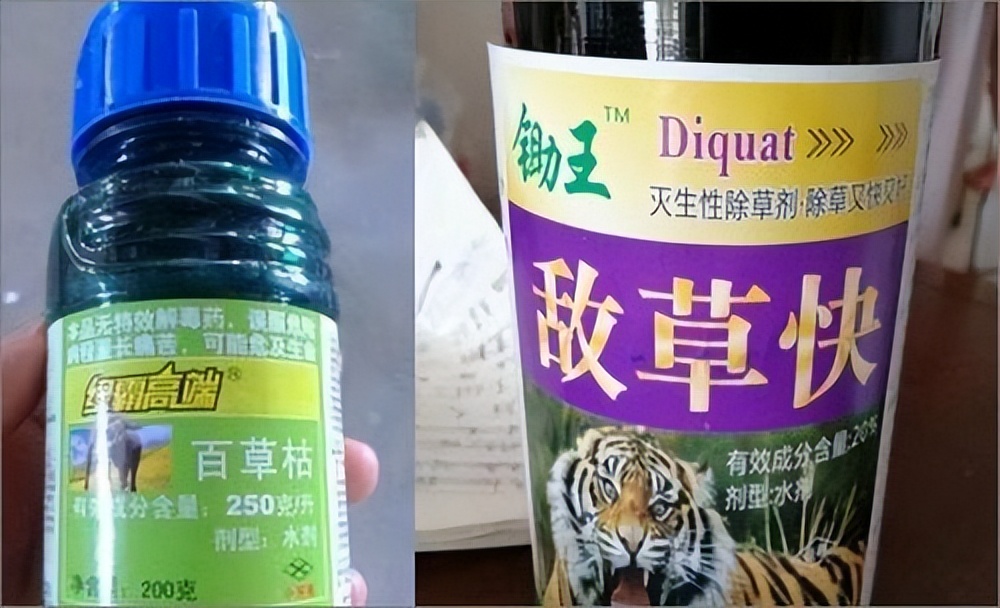 比百草枯还要毒的是什么,比百草枯还毒的毒药是什么