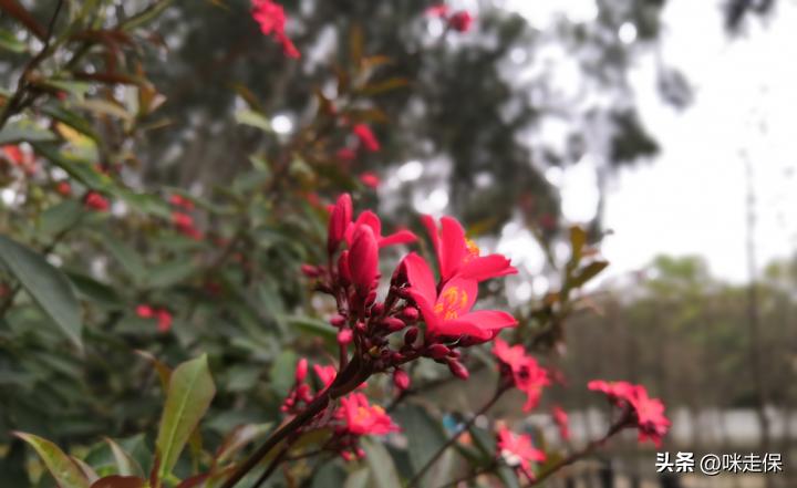 养老型储蓄存款有户籍限制吗,合肥特定养老储蓄现在能存吗