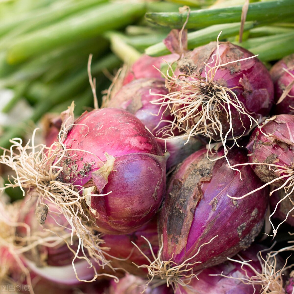 疫情家里囤的物资,疫情期间囤什么物资