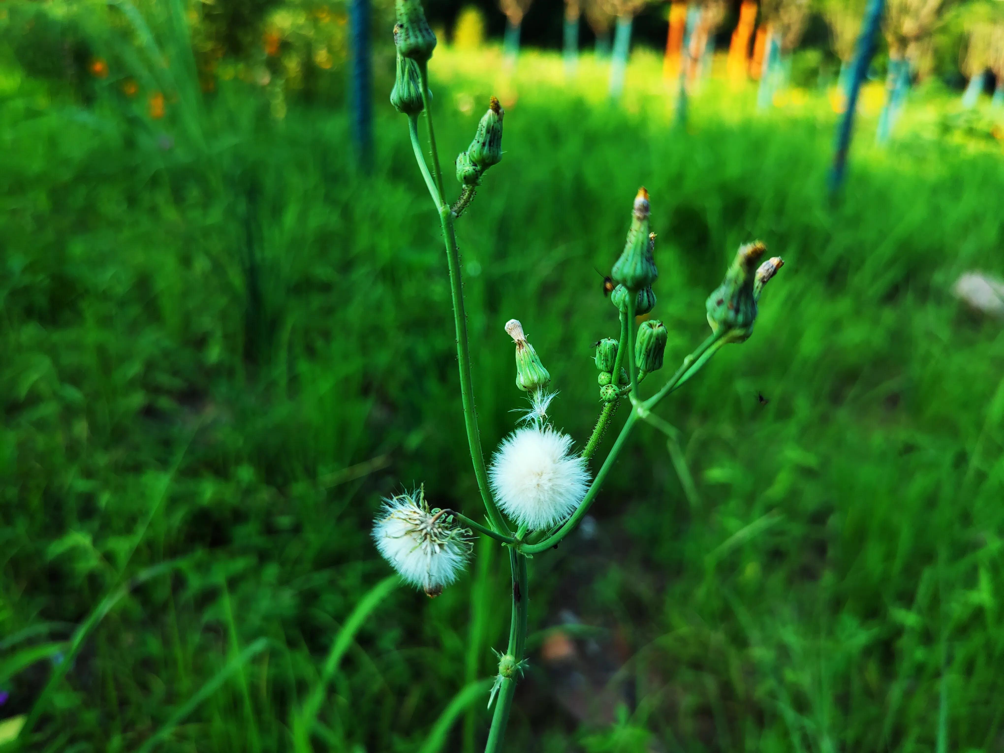 浅论财务风险管理,小白如何入门股票账户管理