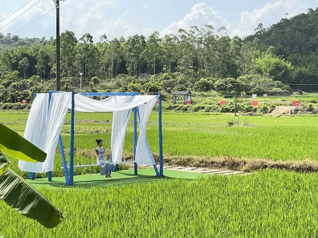 增城网红民宿别墅,增城最美花园亲子民宿