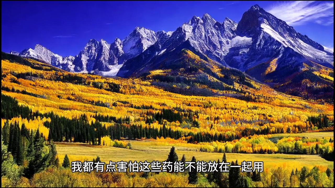 铔囧ご铔囧熬,铔囧熬灏忚