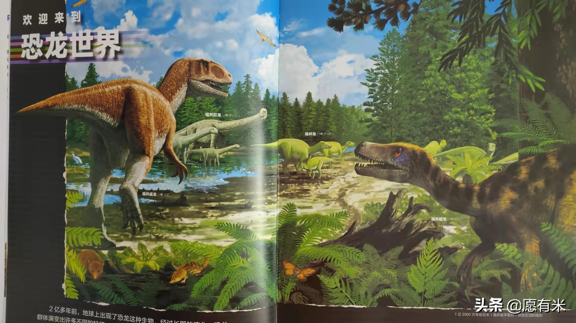 恐龙大百科之各种各样恐龙,恐龙世界最强大的恐龙的图片