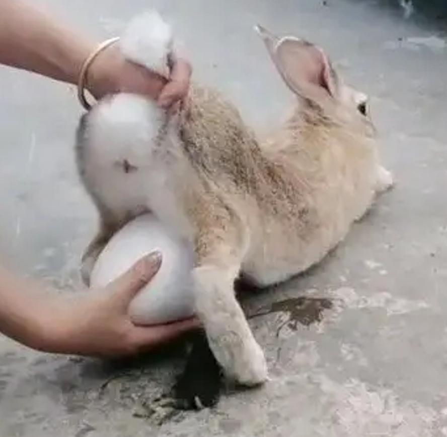 easterday复活节的时间,复活节的日期是固定的吗