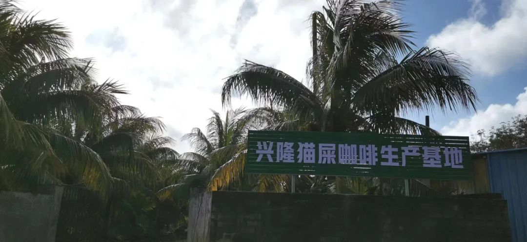 娴峰崡鍏撮殕鐚睅鍜栧暋,娴峰崡涓囧畞鍏撮殕鐚睅鍜栧暋鍩哄湴