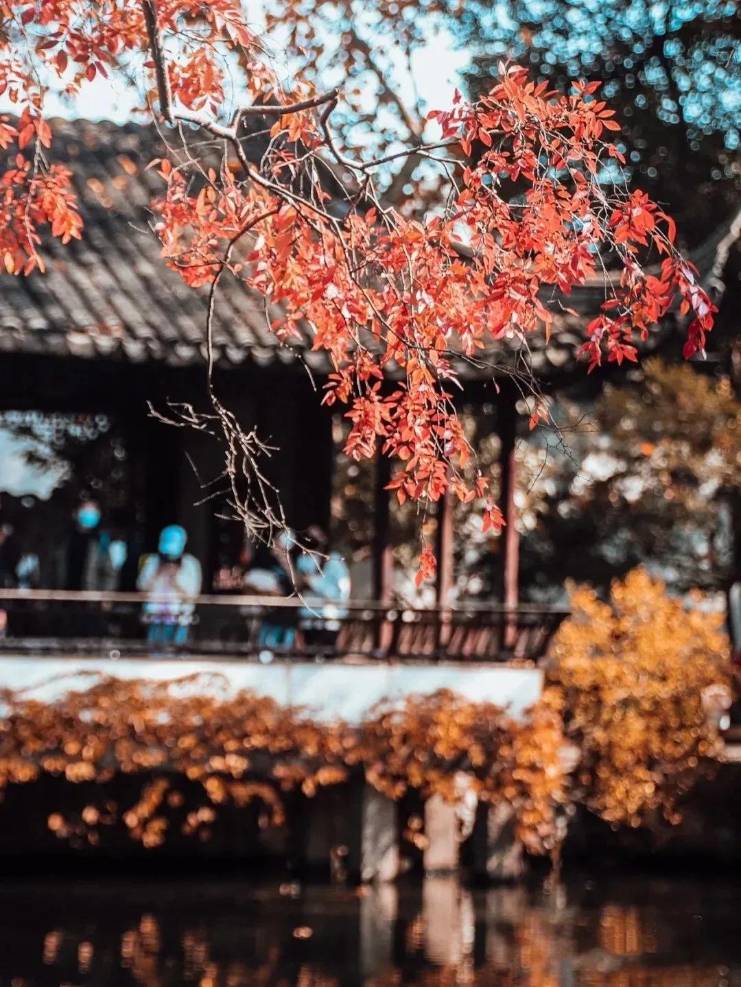 岁月如梭时光荏苒诗句,岁月流逝秋叶黄下一句