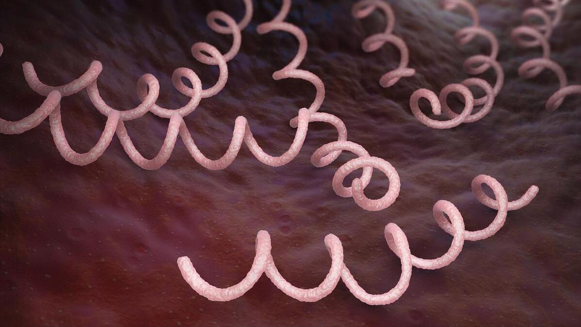 过了50岁想要长寿要做对这三件事,年过50晚年想要幸福请牢记这三步