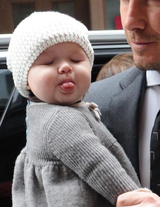 贝小七被宠上天,贝小七成长