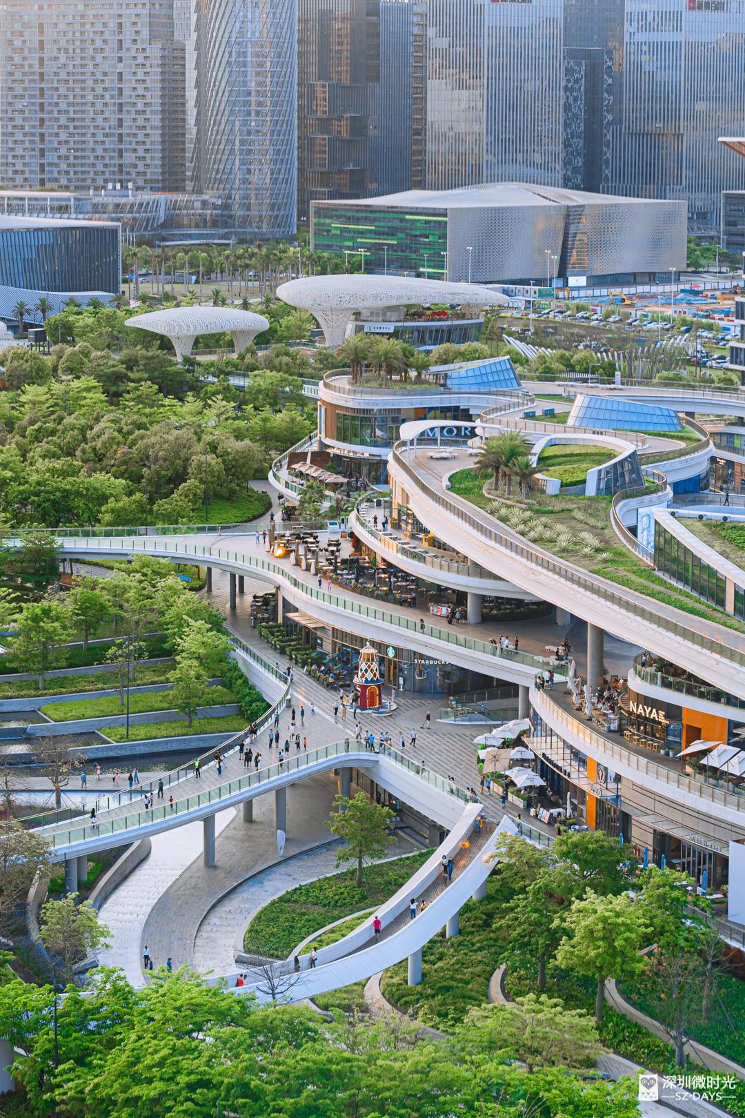 七夕深圳情侣应该去哪里约会,深圳超浪漫的七夕约会圣地推荐