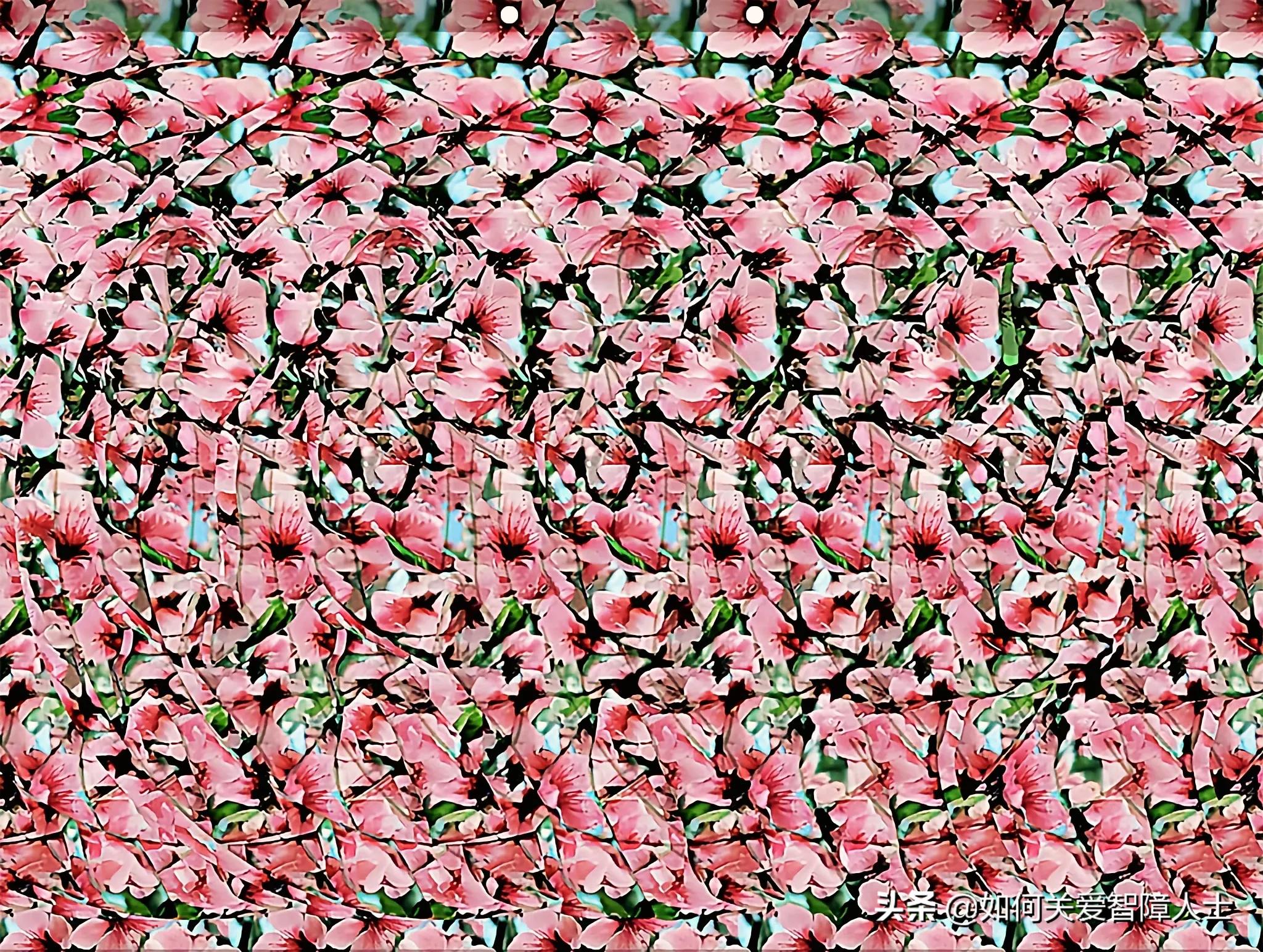 新手怎么看三维立体图,新手看三维立体图的方法