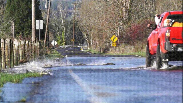 三文鱼水光真假分辨,哪种才是真正的三文鱼