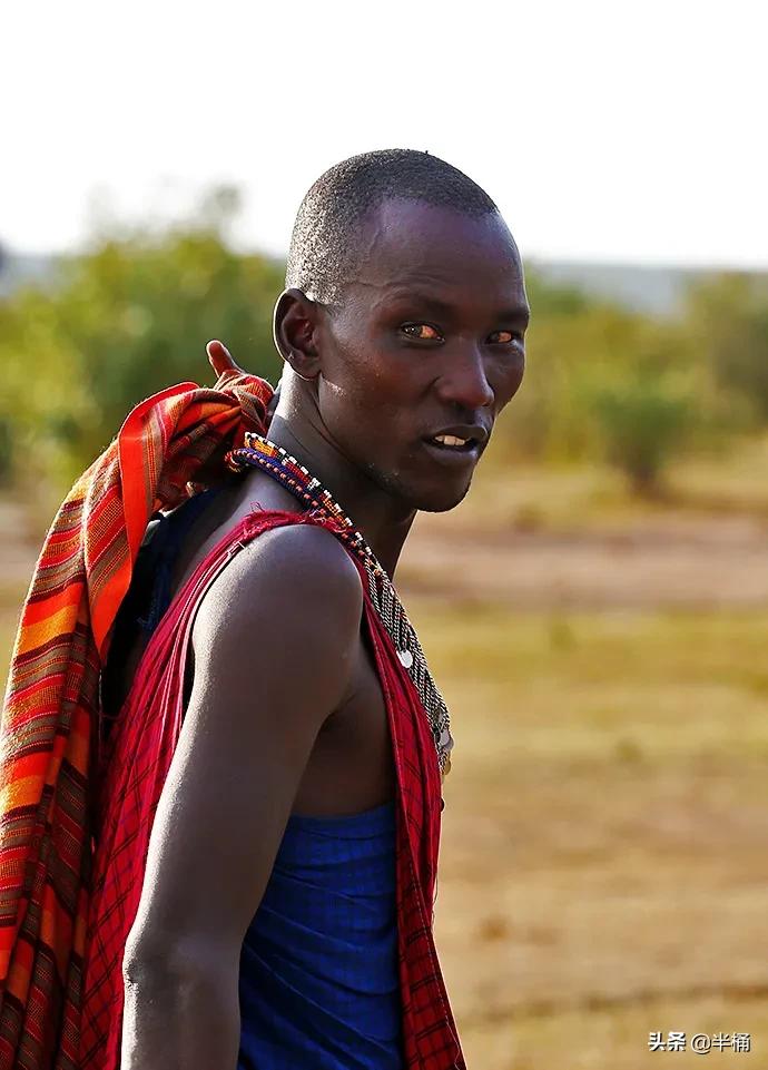 马赛人和东北虎,马赛人vs东北虎