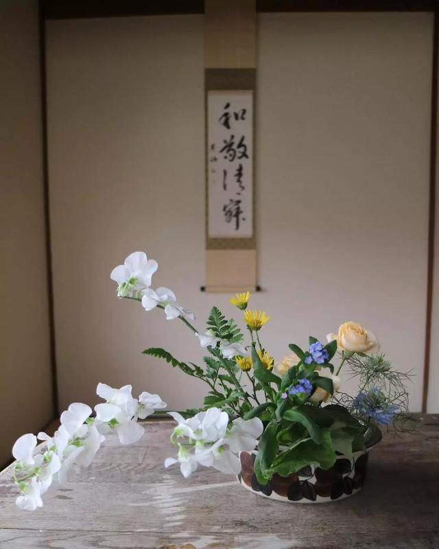 不会插花的句子,不会插花怎么办