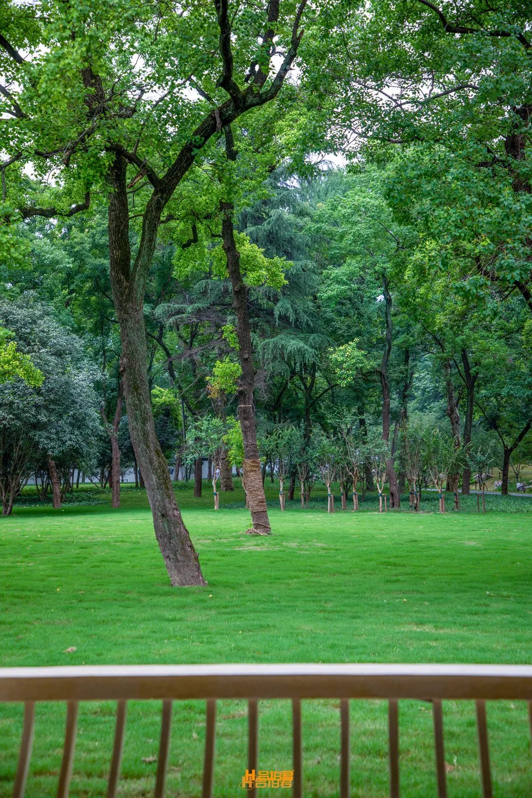 鍚堣偉涔嬪缃戠粶绉戞妧鏈夐檺鍏徃,鍚堣偉涔嬪