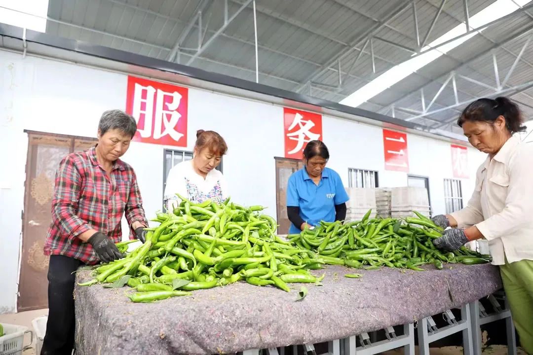 沁县特色农业,特色农业带动乡村振兴