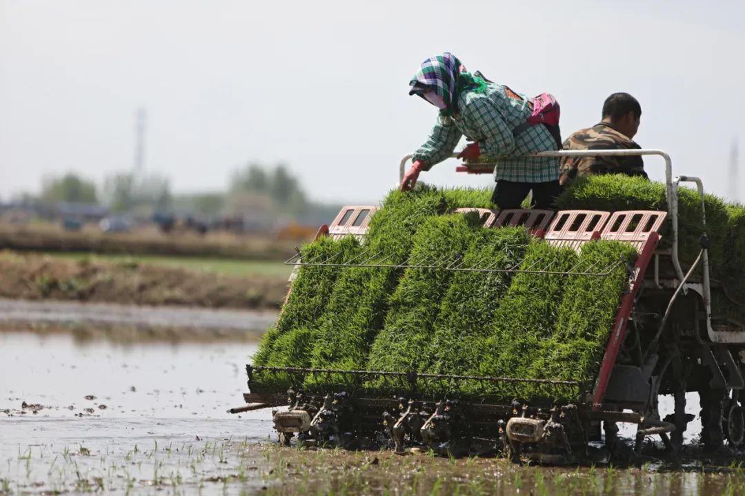 大美边疆高清图片,大美河山国泰民安视频