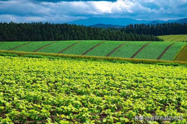 土地私有制是现代国家的基础,土地私有制和公有制