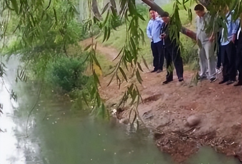 江苏男子求兄弟与妻子“偷情”，深夜巧设连环计，杀妻骗保450万