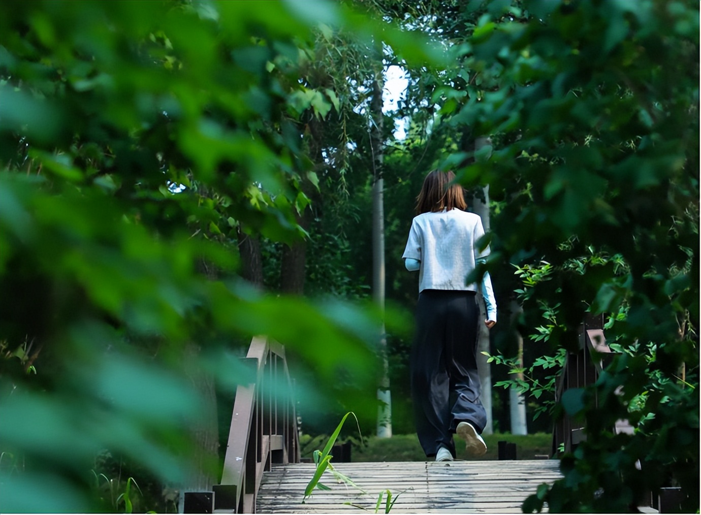 汉石桥自然湿地,汉石桥湿地重游