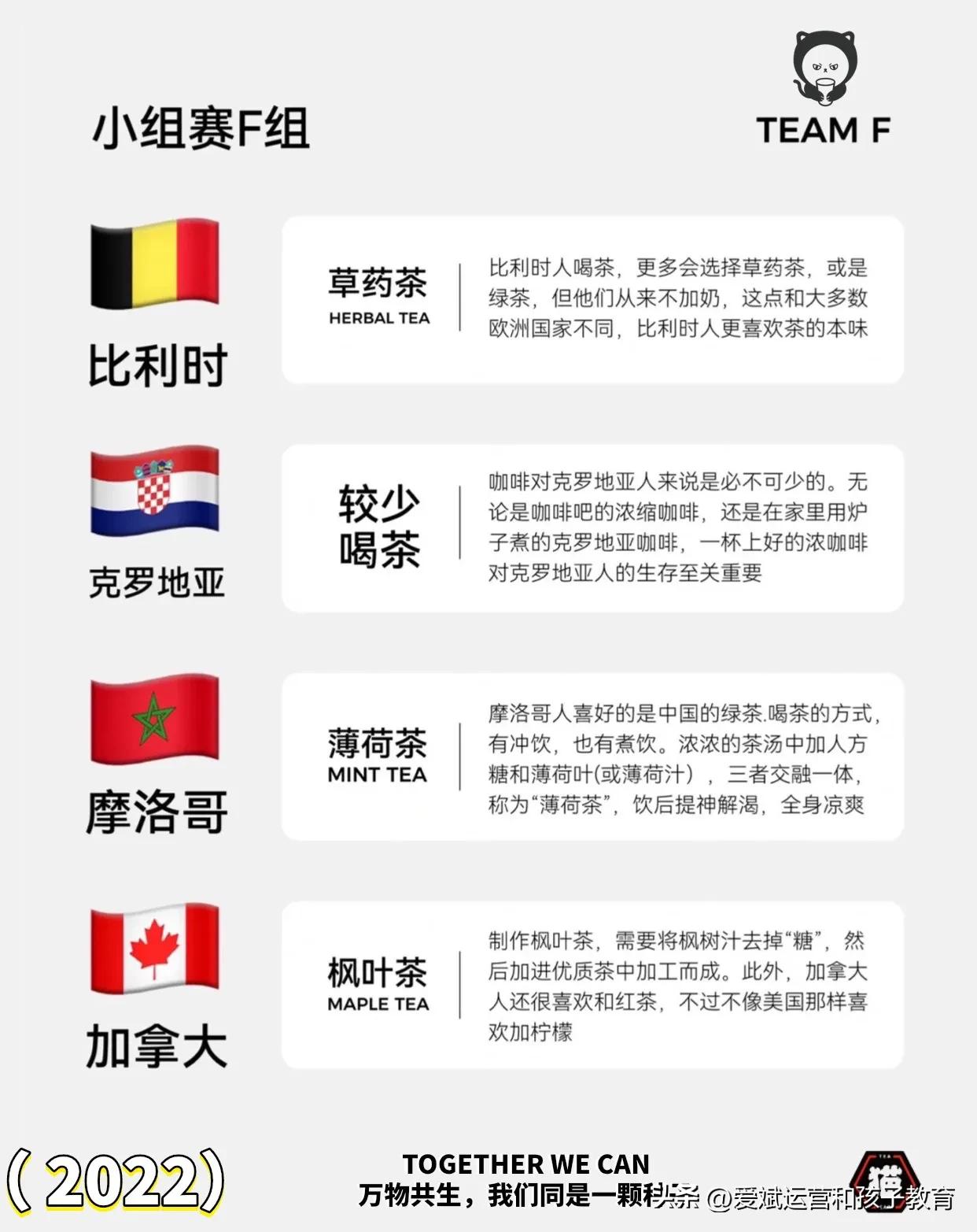 世界杯各个国家队吃什么,世界杯各国球员都喝什么酒