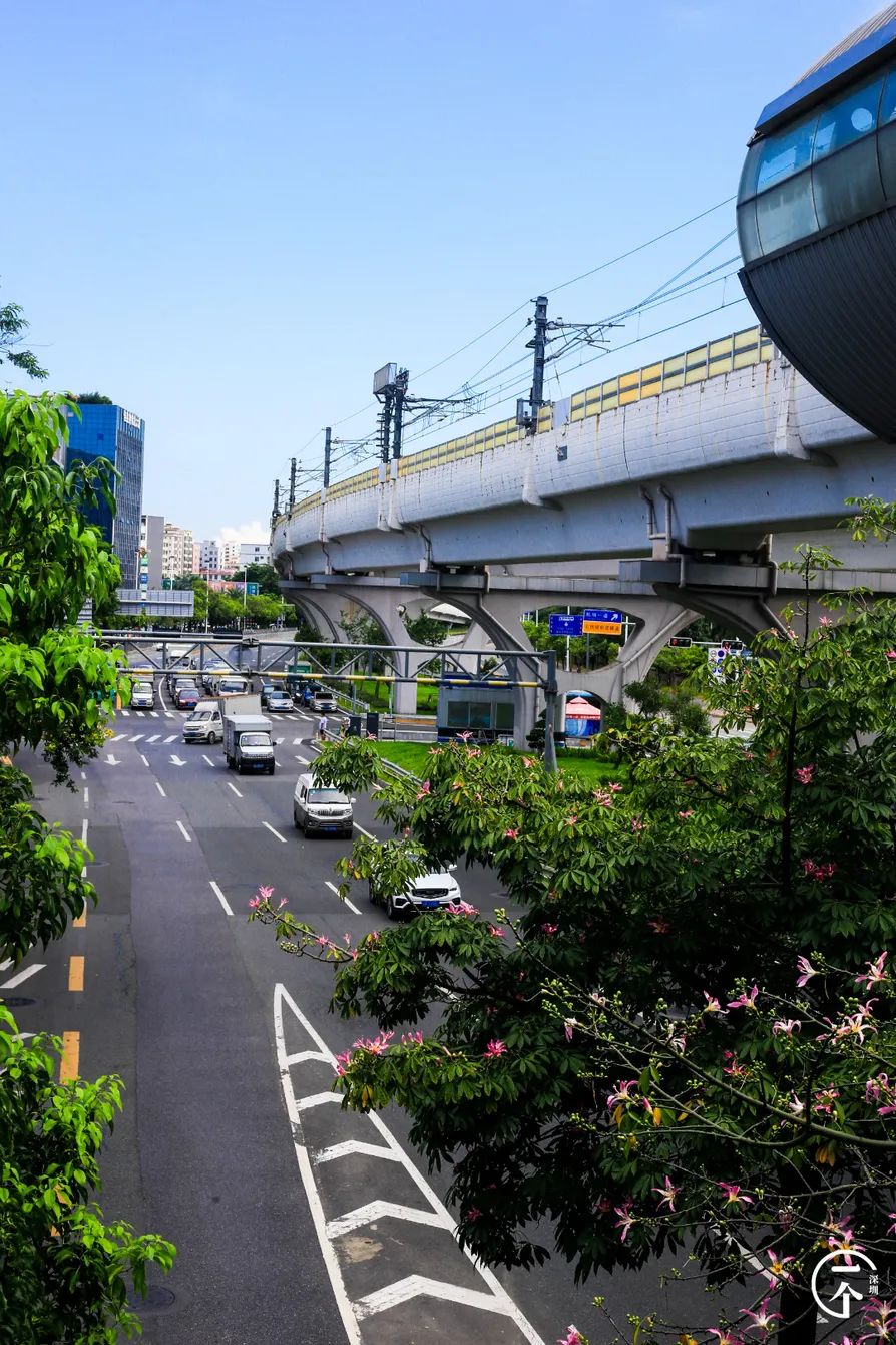 深圳航空空少乘务员,空姐空少乘务员