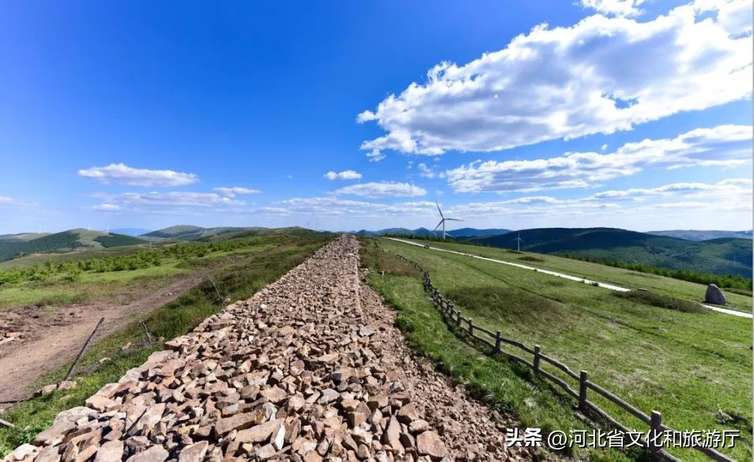 *情纵**草原畅玩河北|风车,草甸,银河……在河北的草原上拥抱无尽诗意与浪漫
