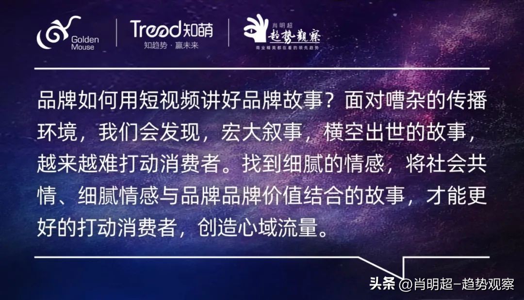 2019金鼠标营销,金鼠标网络营销案例