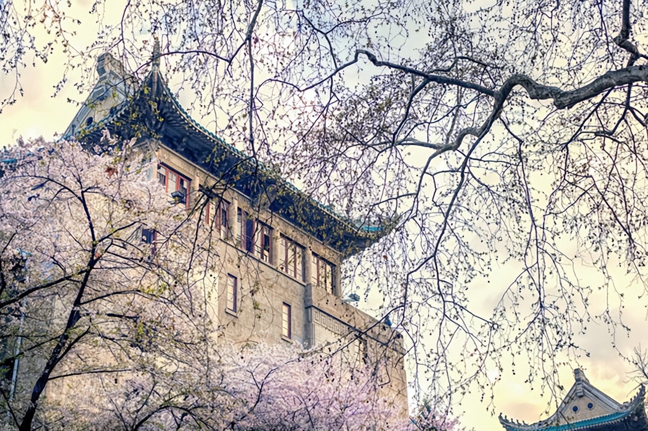 全国最好的口腔医学院校排名,国内前十的口腔专业的大学