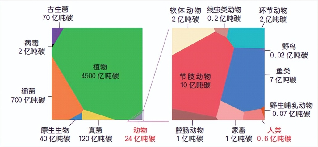 鍏嶇柅绯荤粺娌荤枟鐤剧梾,鍏嶇柅绯荤粺鍦ㄧ嚎鍖荤敓