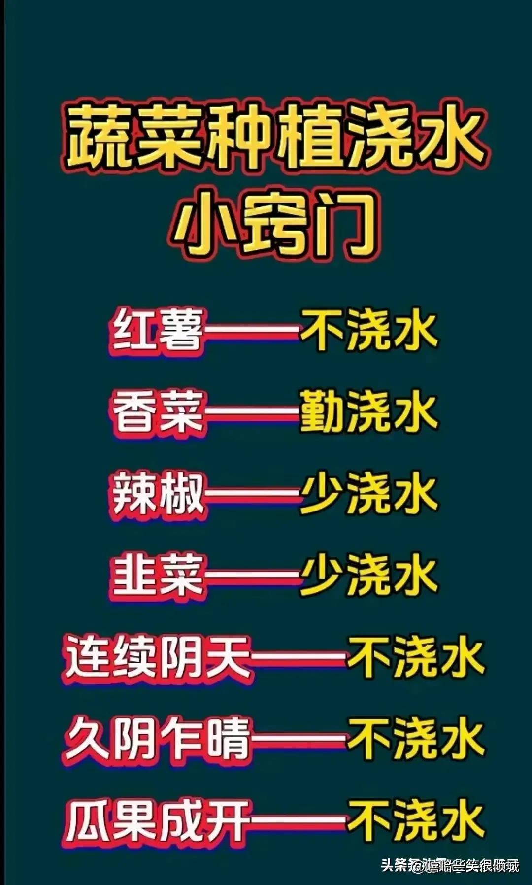 终于有人把“转基因玉米”整理好了，不知道的收藏看看