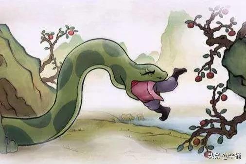 巨型网纹蟒蛇,680斤网纹蟒蛇真实视频