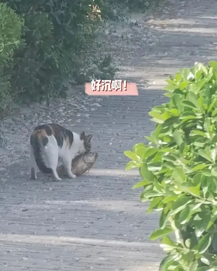 闺蜜送了一个房子,闺蜜送给我一个房子