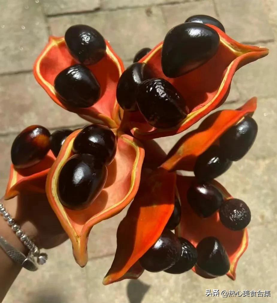 奇葩水果开箱合集,这些奇葩水果你见过吗