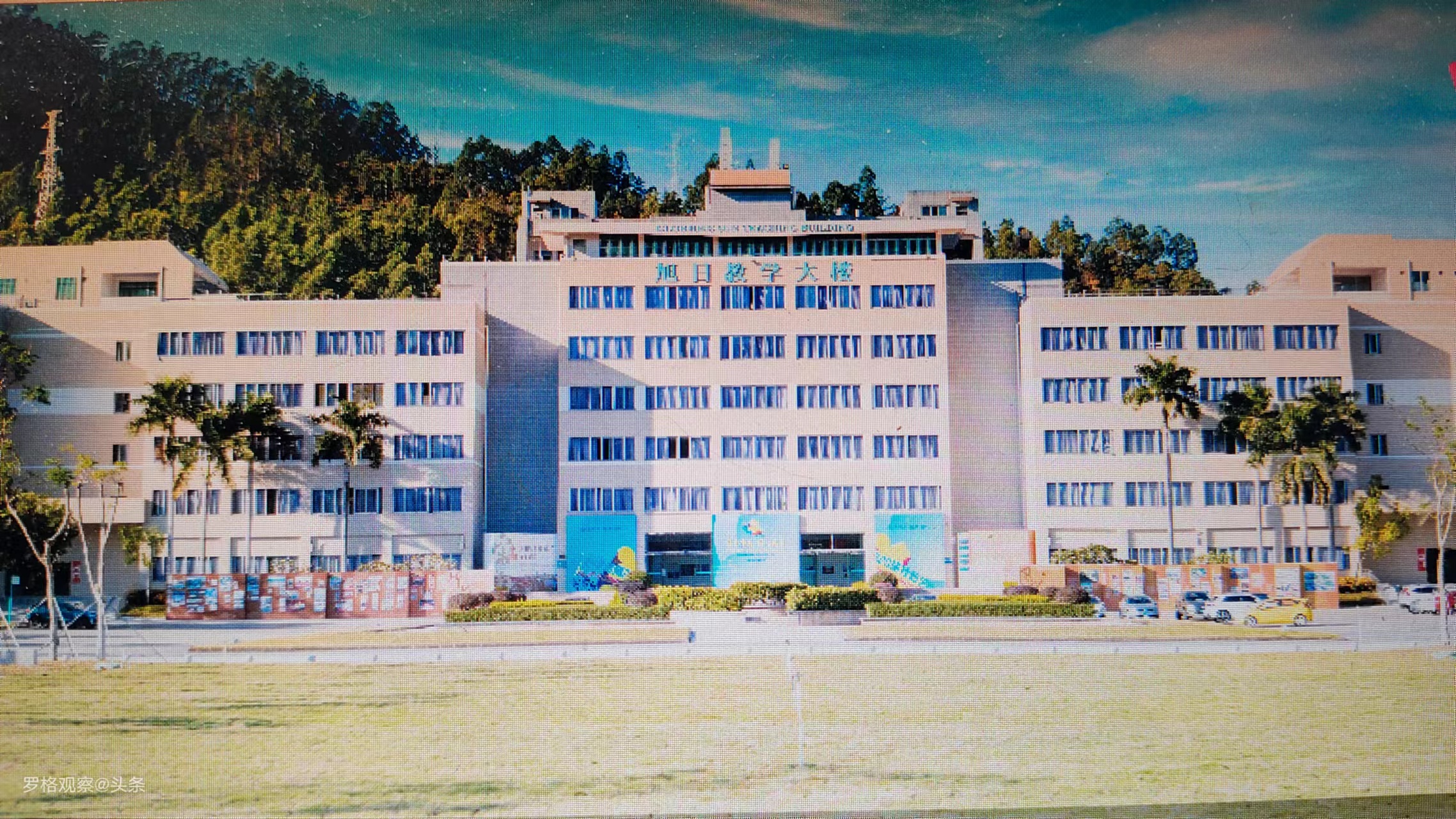 第7所惠州学院│从毕业生信息看惠州学院热门专业有哪些