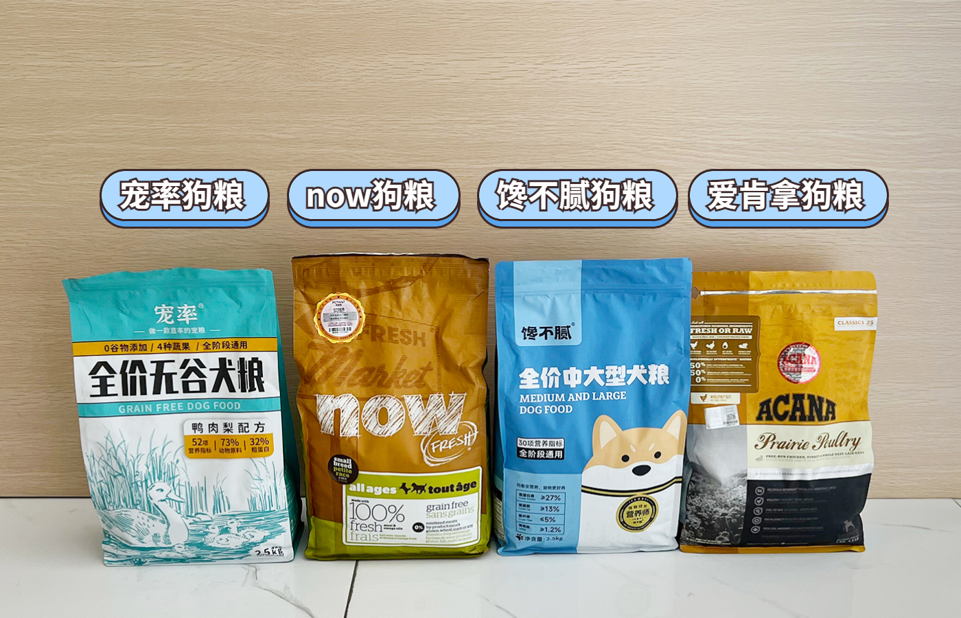 小型犬的品种大全100种,家庭养小型犬养什么品种好