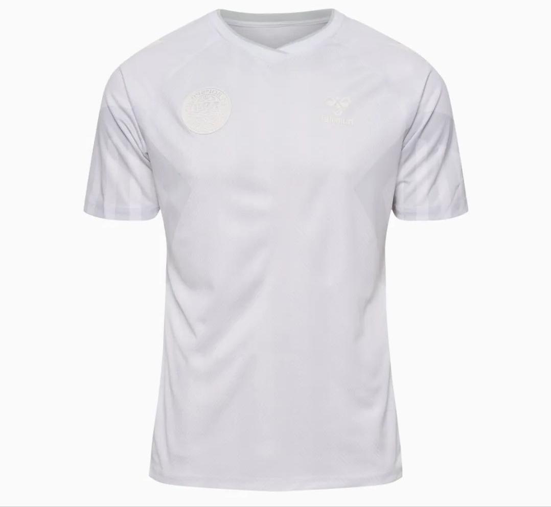 2018法国足球队队服设计,法国队足球标志