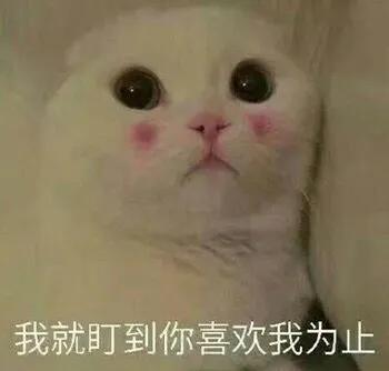 给你花花表情包,给你花花表情包啥意思