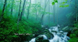 超好用的神仙配图,推荐可收藏的神仙图片