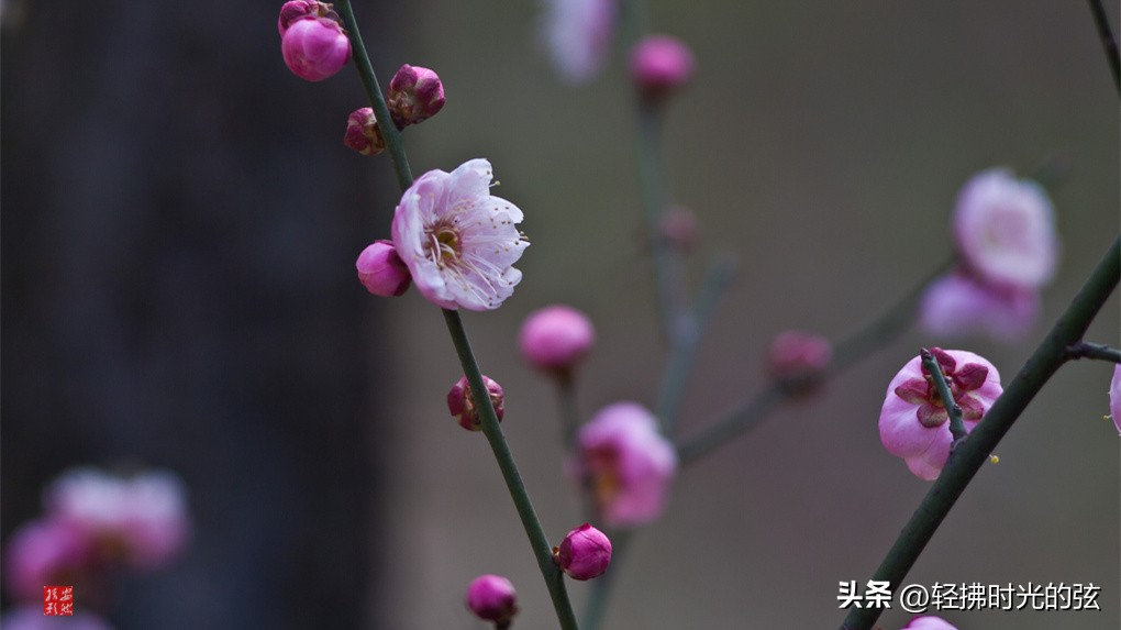 中国史上最美36首诗词,中国最美诗词十首