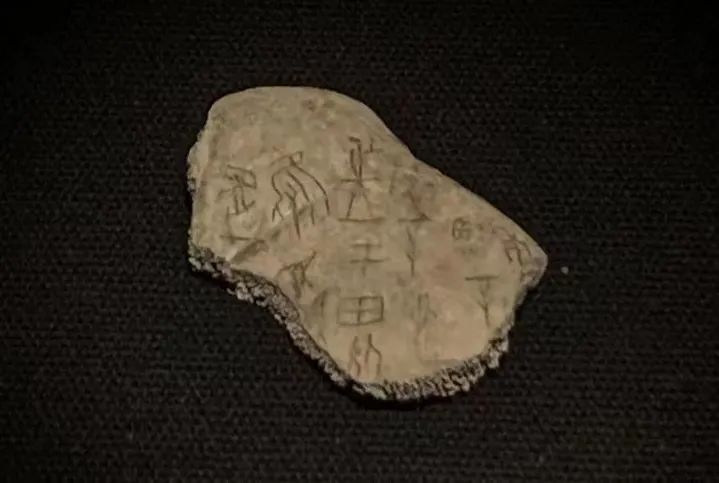 了解十二生肖兔的文化,兔年属兔吉祥话