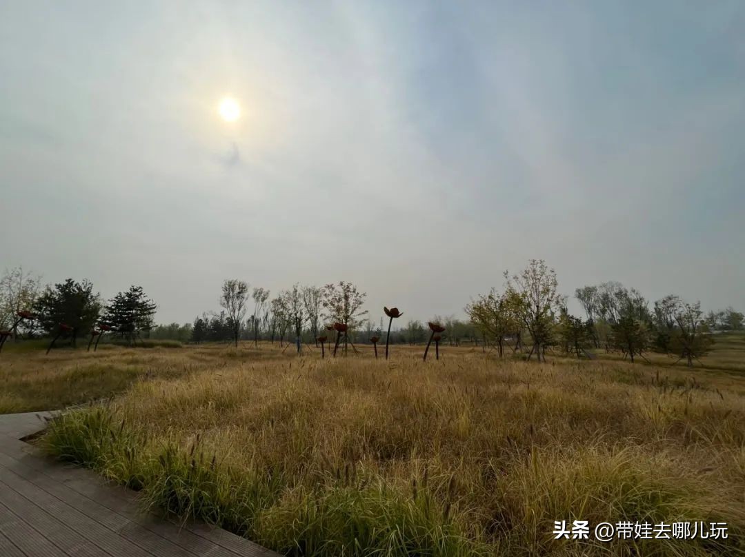 藏在二环的超小众免费公园,免费游玩的小公园