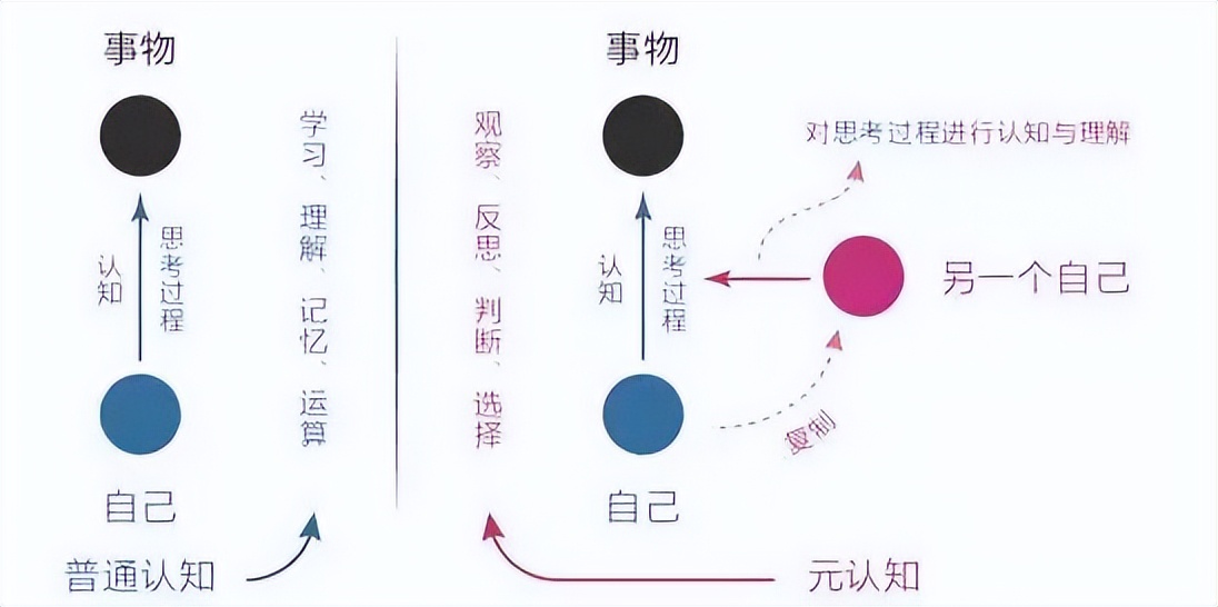 100个颠覆认知的问题,改变思维的经典问答