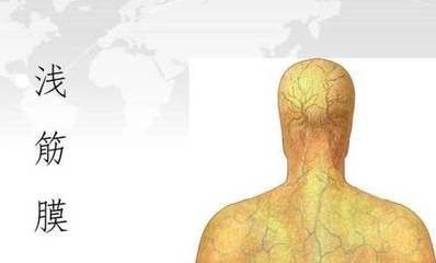 黑龙江省哈尔滨肌筋膜松解术,康复治疗技术基础知识必背