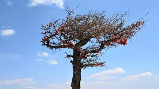 瀹佹鍘嗗彶涓婄殑鎴樹簤,瀹佹鍘嗗彶涓婄殑鍚嶄汉