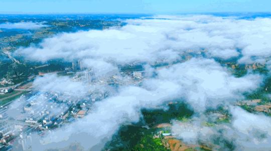 灵台主要产业,灵台县产业发展政策